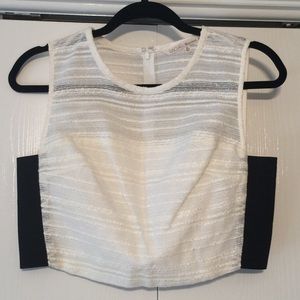 RACHEL Rachel Roy Crop Top Shirt Size Medium